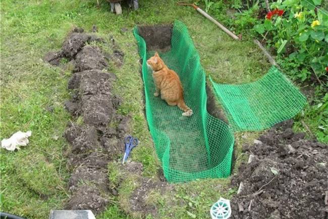 Сетка пластиковая от кротов Black Mole 2х50 м (100 кв.м.) Сетка пластиковая от кротов Black Mole 2х50 м (100 кв.м.)